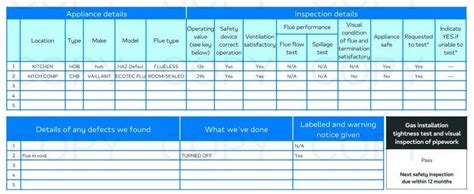 british gas safety checks